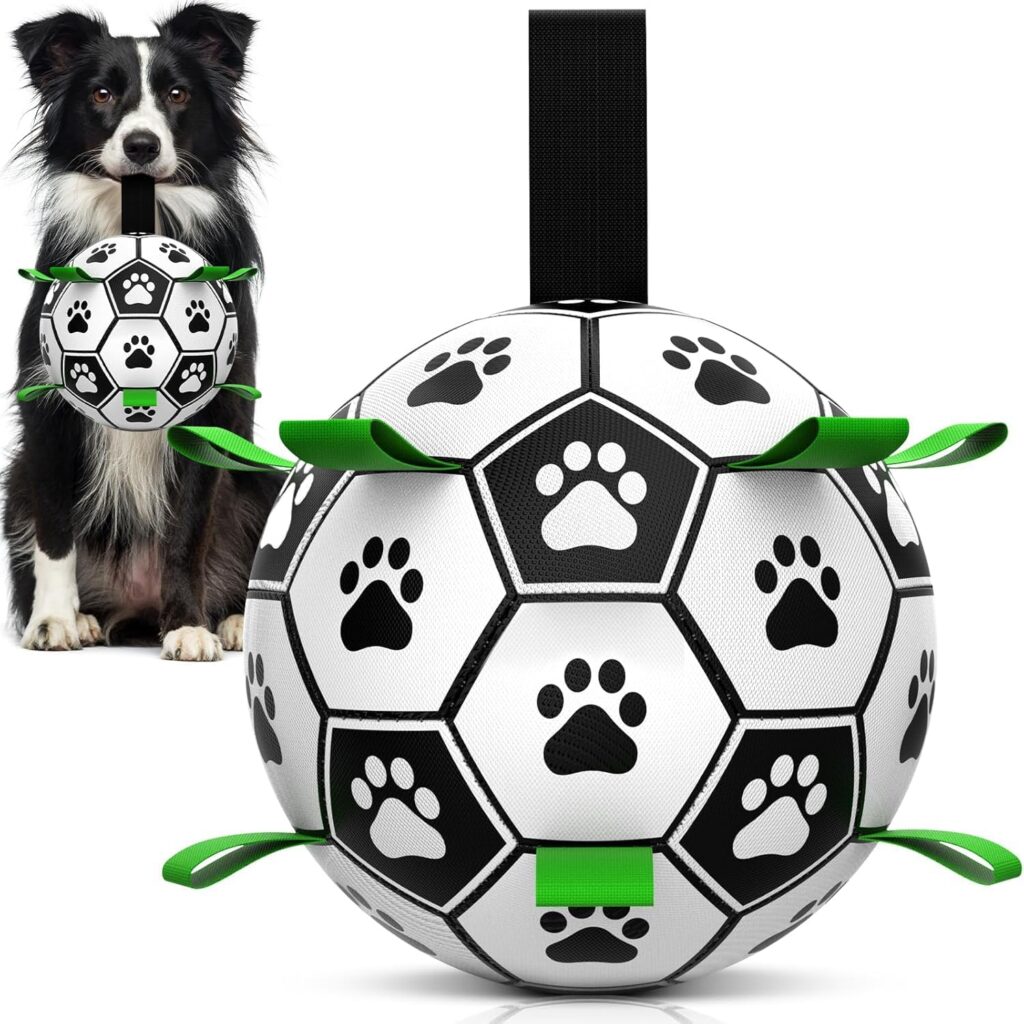 Dog Football Toys with Webbing Dog