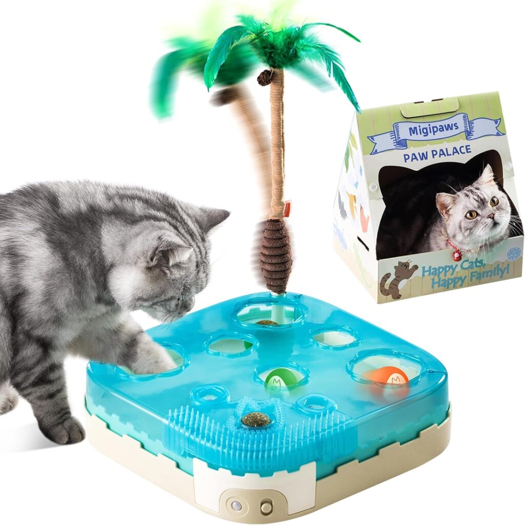 Ultimate Indoor Cat Toy with Motion Sensor