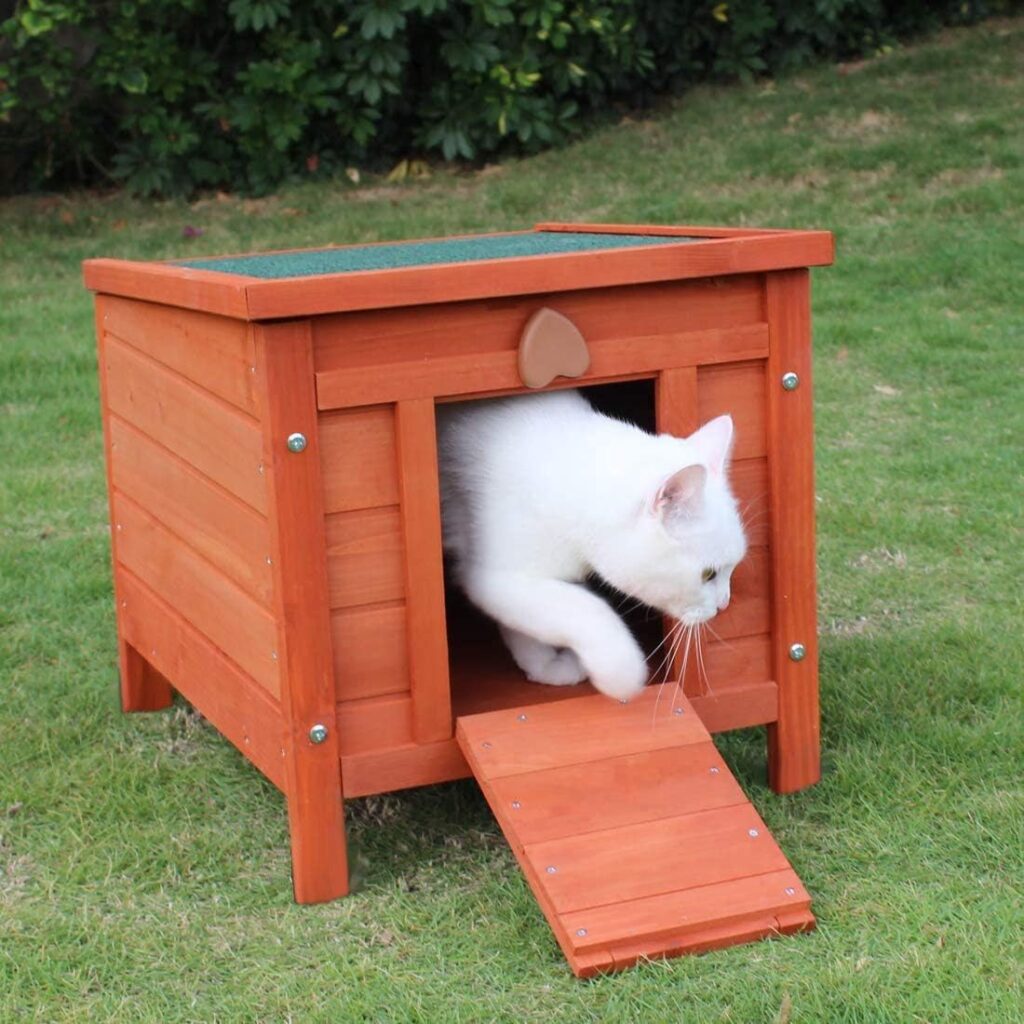 Cat Wooden Hide House Run Hide