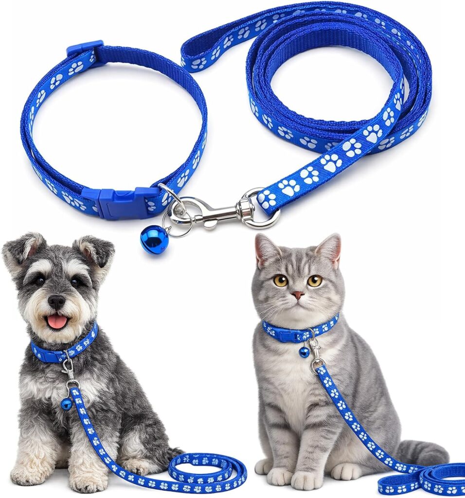 Blue Paw Print Dog Collar and Leash Set
